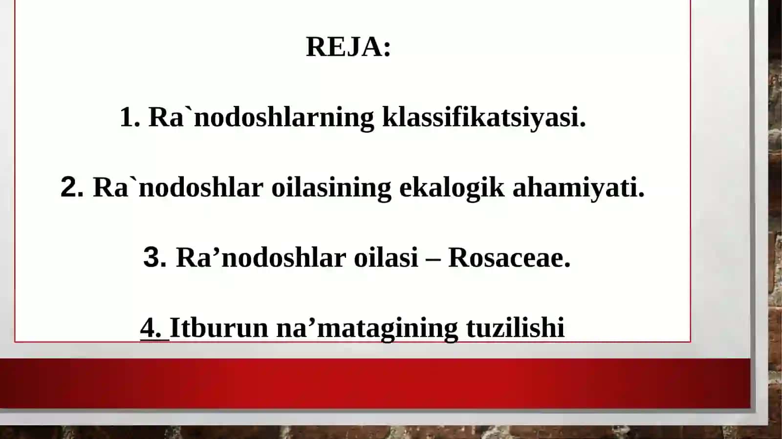 Ra'nodoshlar Oilasi - Rosaceae 3