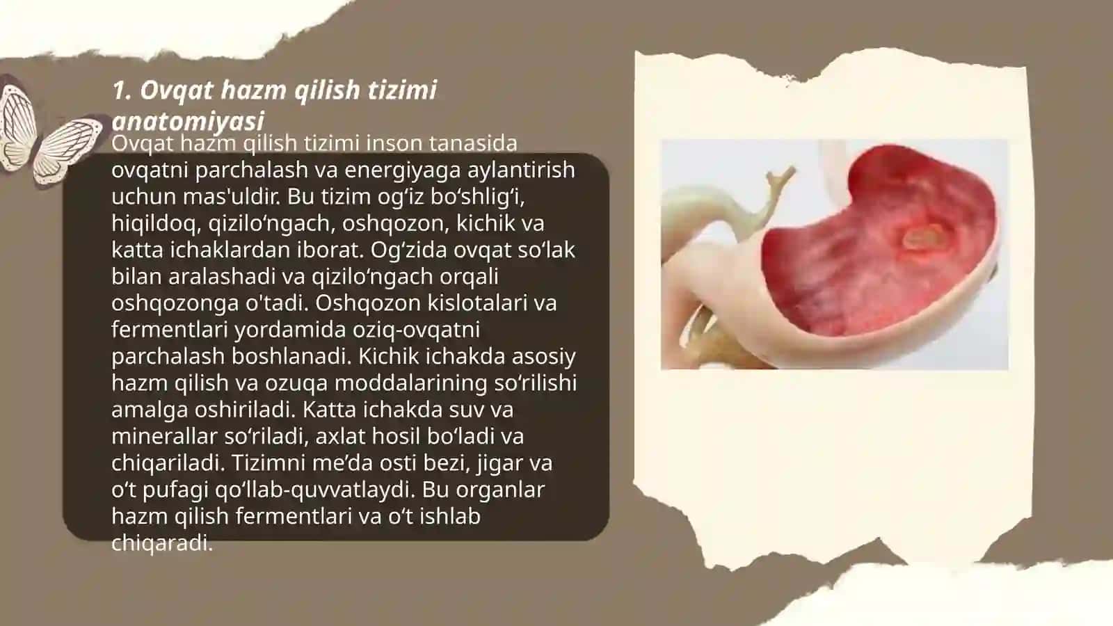 Ovqat hazm qilish tizimidagi muammolari bo’lan bemorlarni parvarish qilish 3