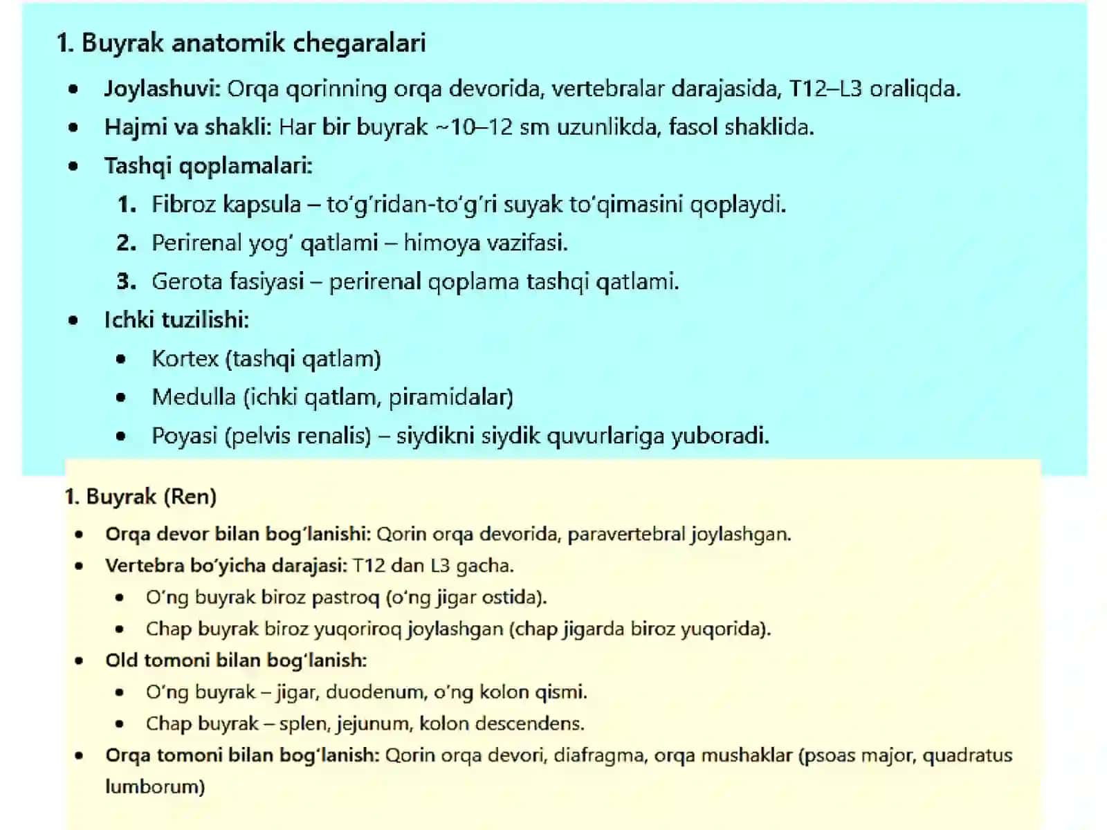 Buyrak va siydik yo'llari anatomiyasi va fiziologiyasi 3