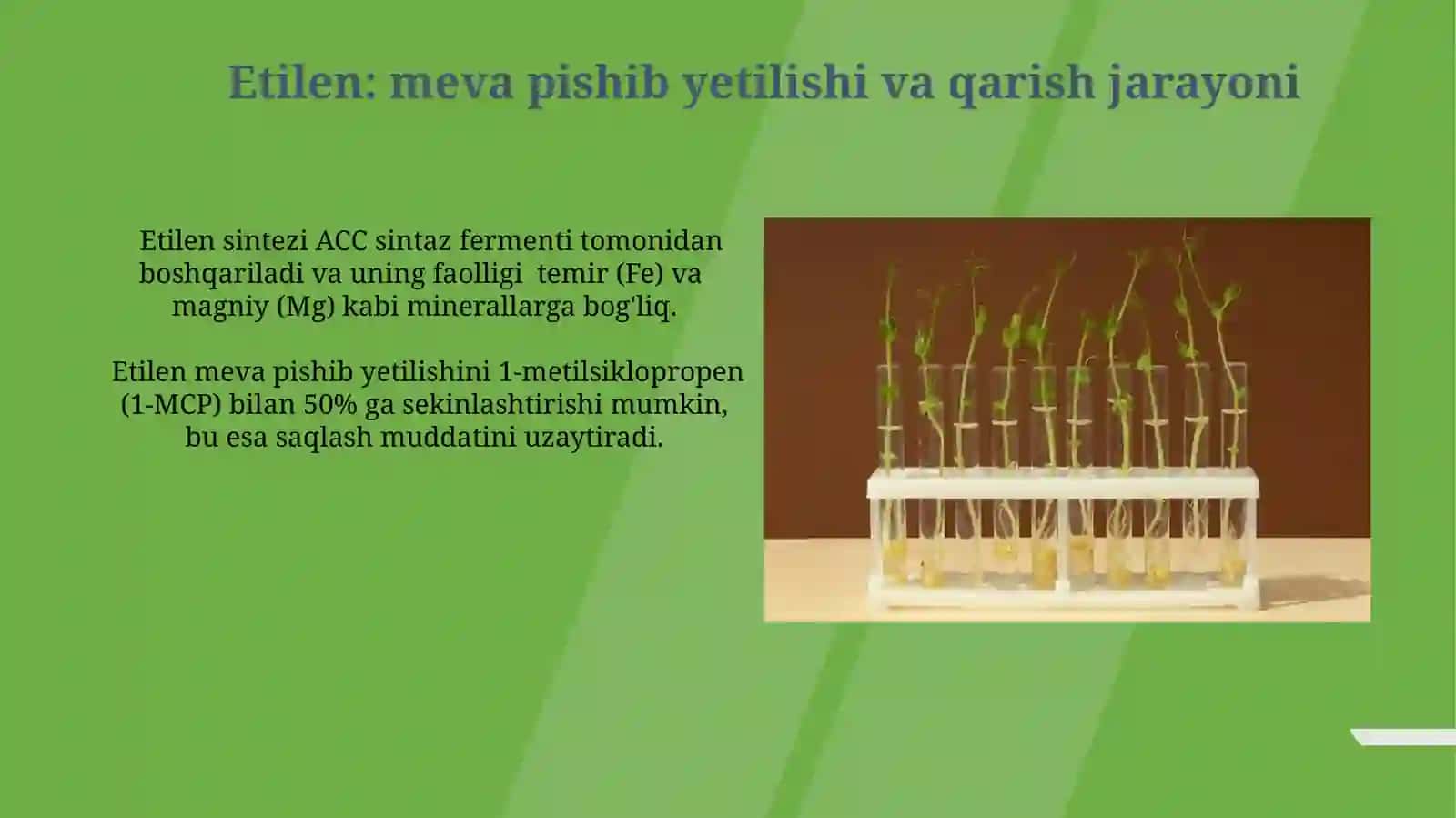 Fitogormonlar va o‘simgulla o‘sishini tartibga solish 3