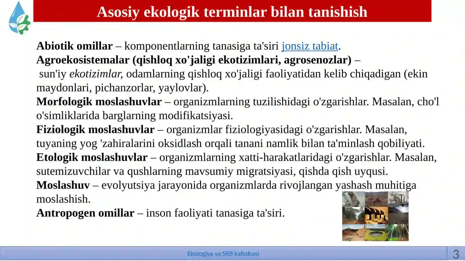 EKOLOGIK TERMINLAR BILAN TANISHISH 3