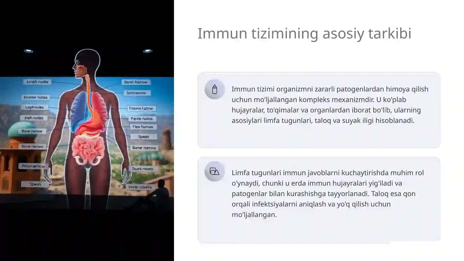 Organizm immun sistemasi 3