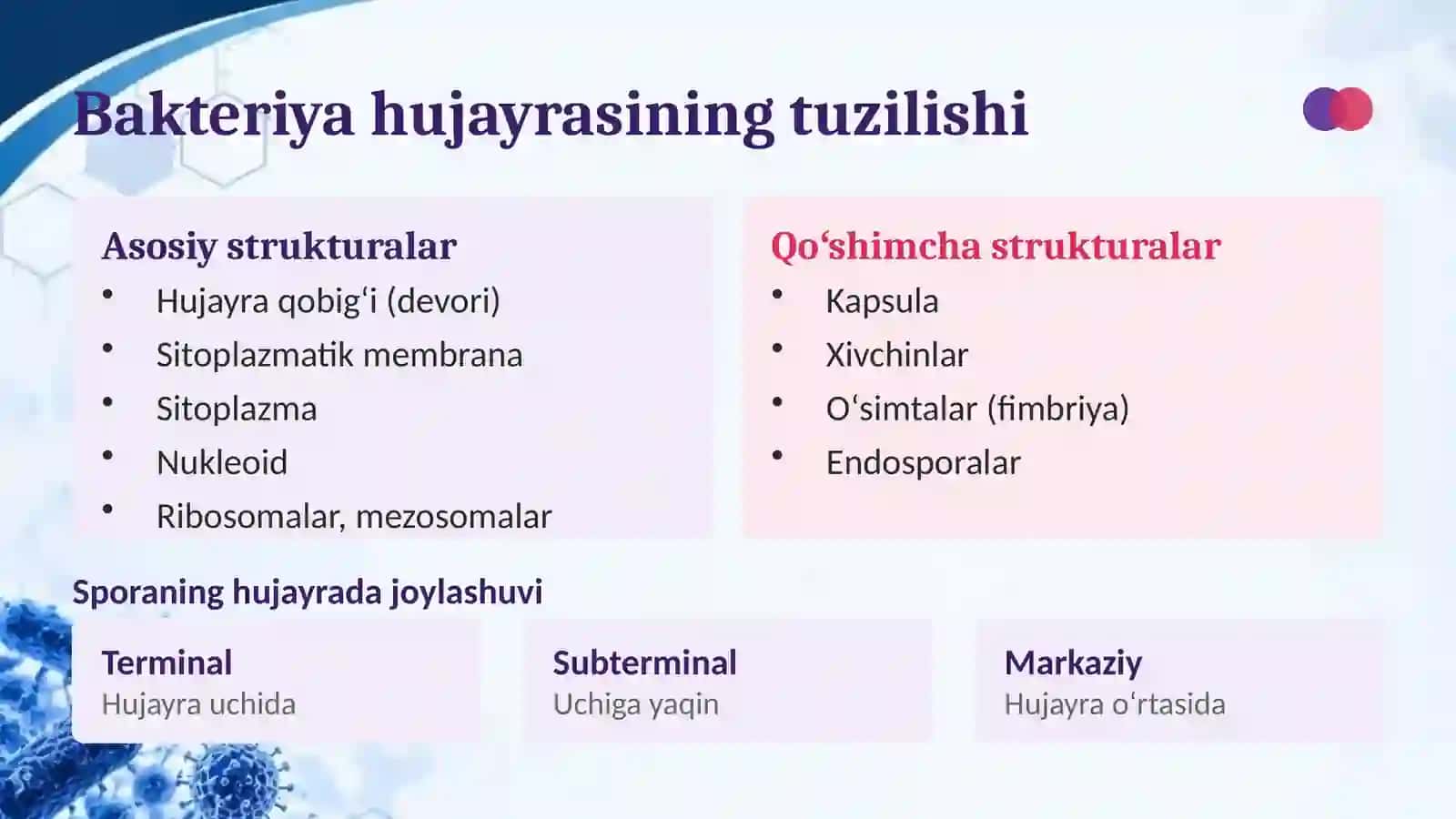 Bakteriya hujayrasi tuzilishi 3