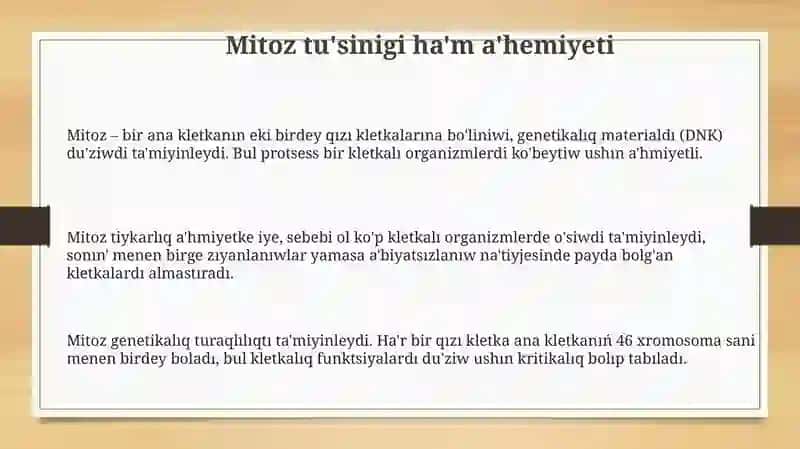 Mitoz processi 3