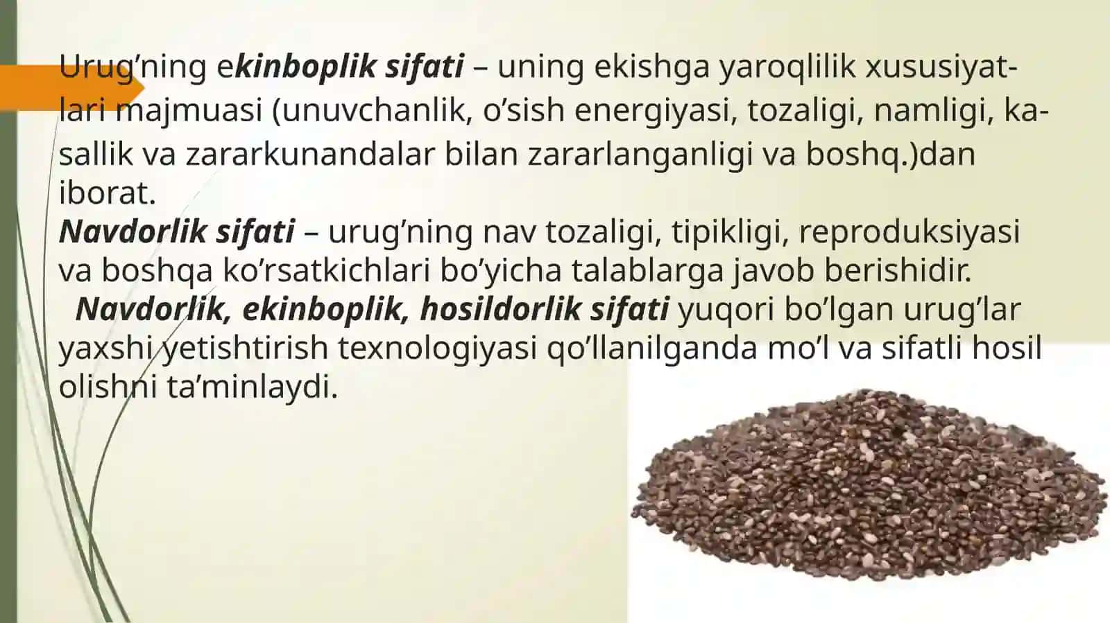 QISHLOQ XO’JALIGI EKINLARI URUG’INING FIZIK-MEXANIK XOSSALARINI O’RGANISH 3