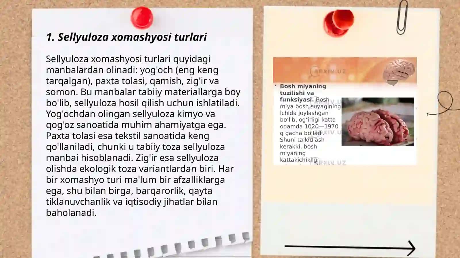 Sellyuloza olish usuli 3