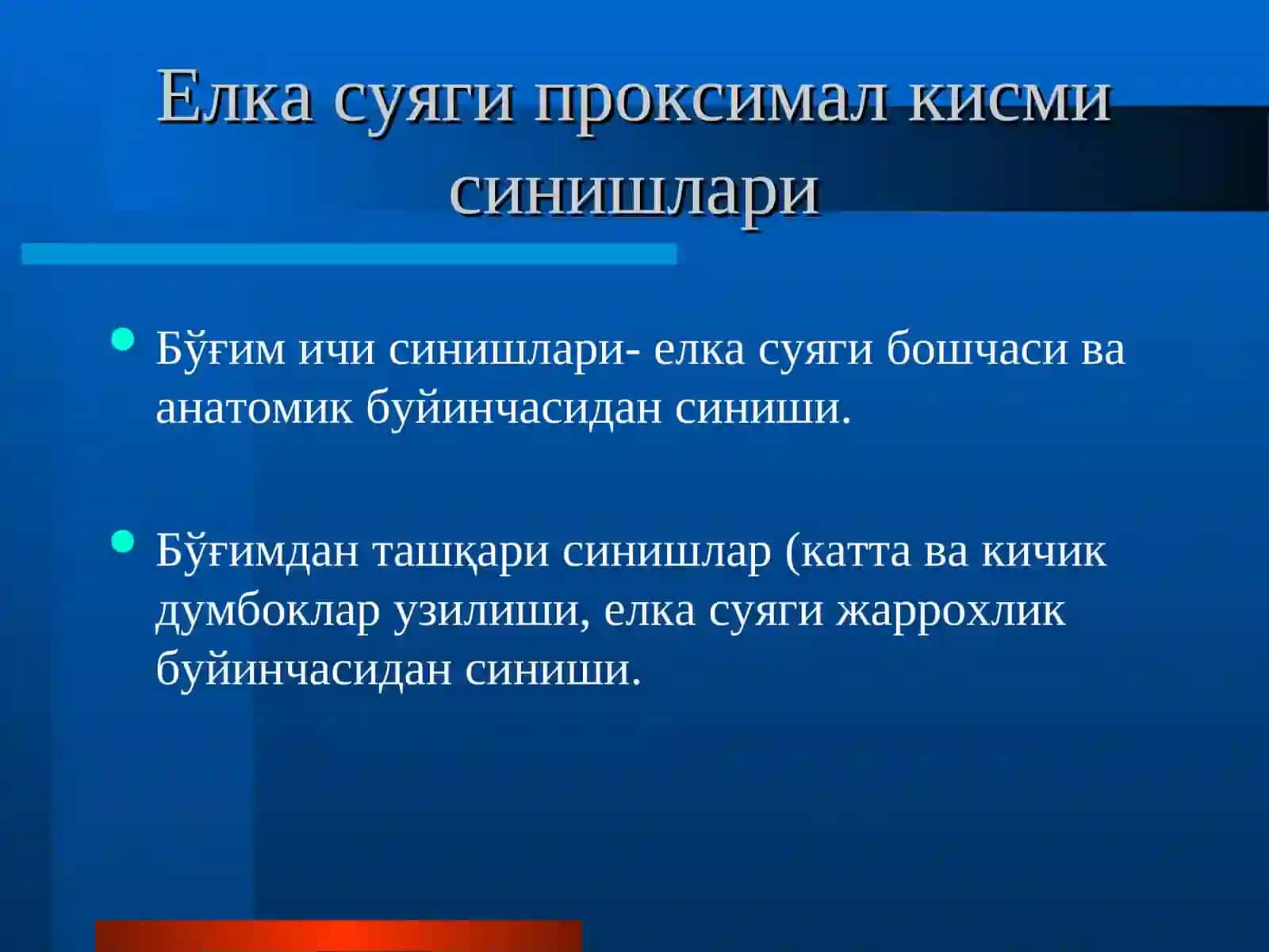 Елка суяги синишлари 3