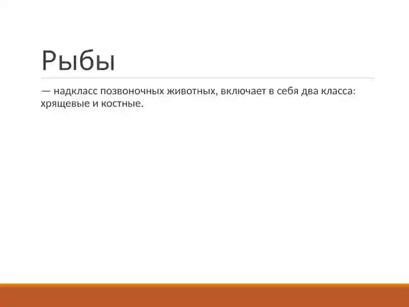 Хрящевые рыбы 3