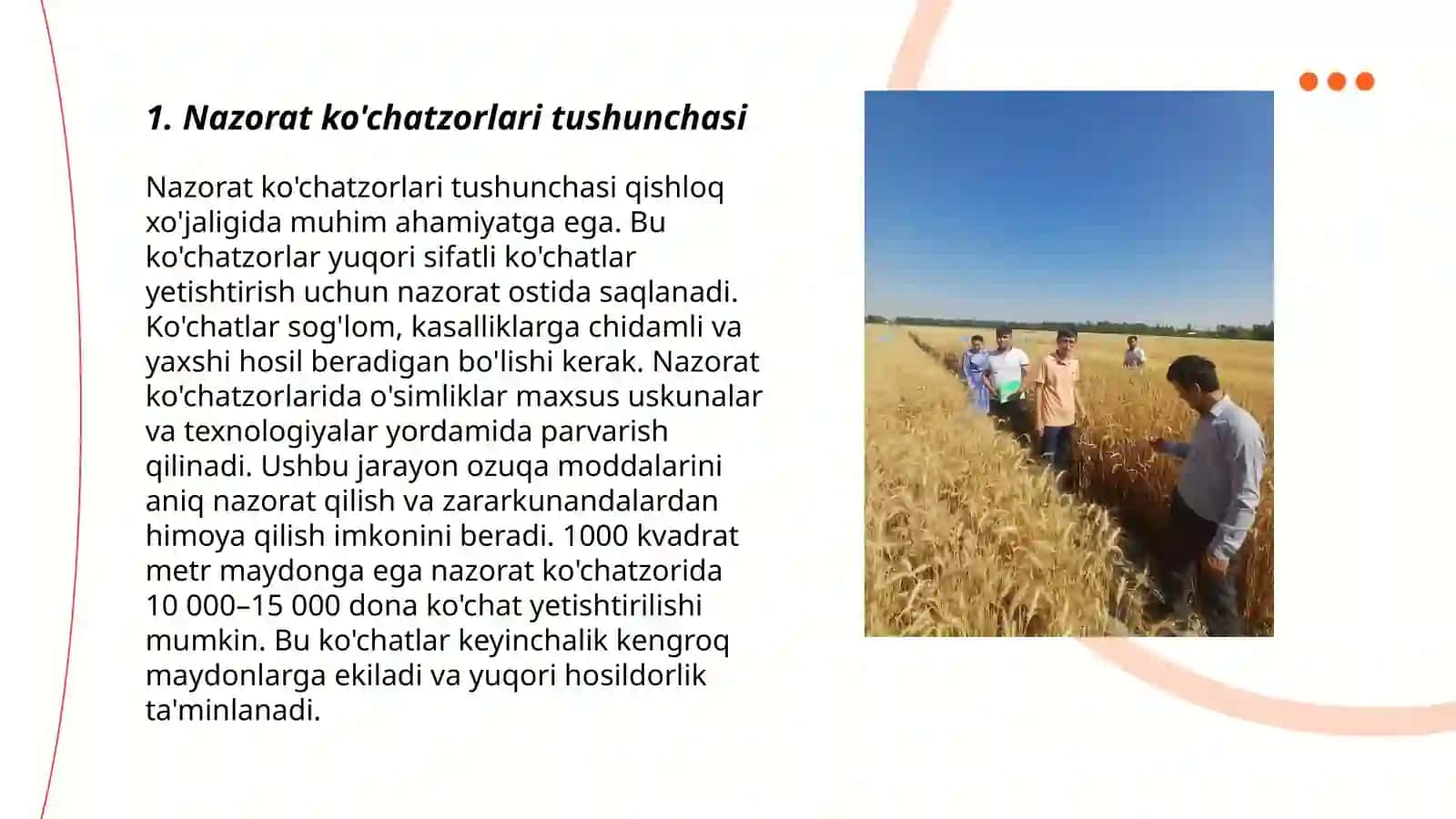 Nazorat ko'chatzorlari va uning xillari 3