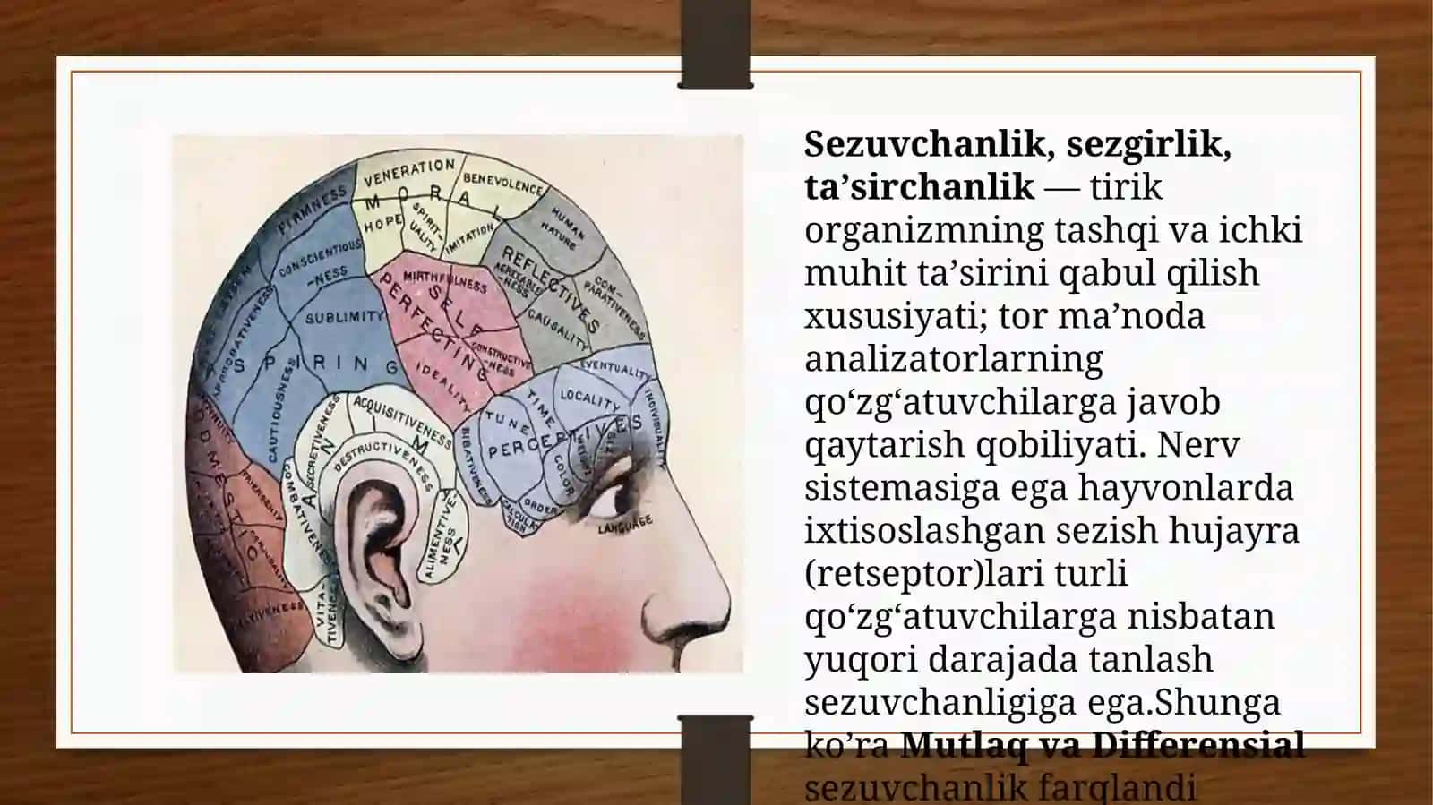 MUTLAQ VA DIFFERENSIAL SEZGIRLIKNI O’RGANISH 3