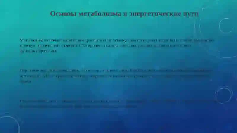 Презентация 3