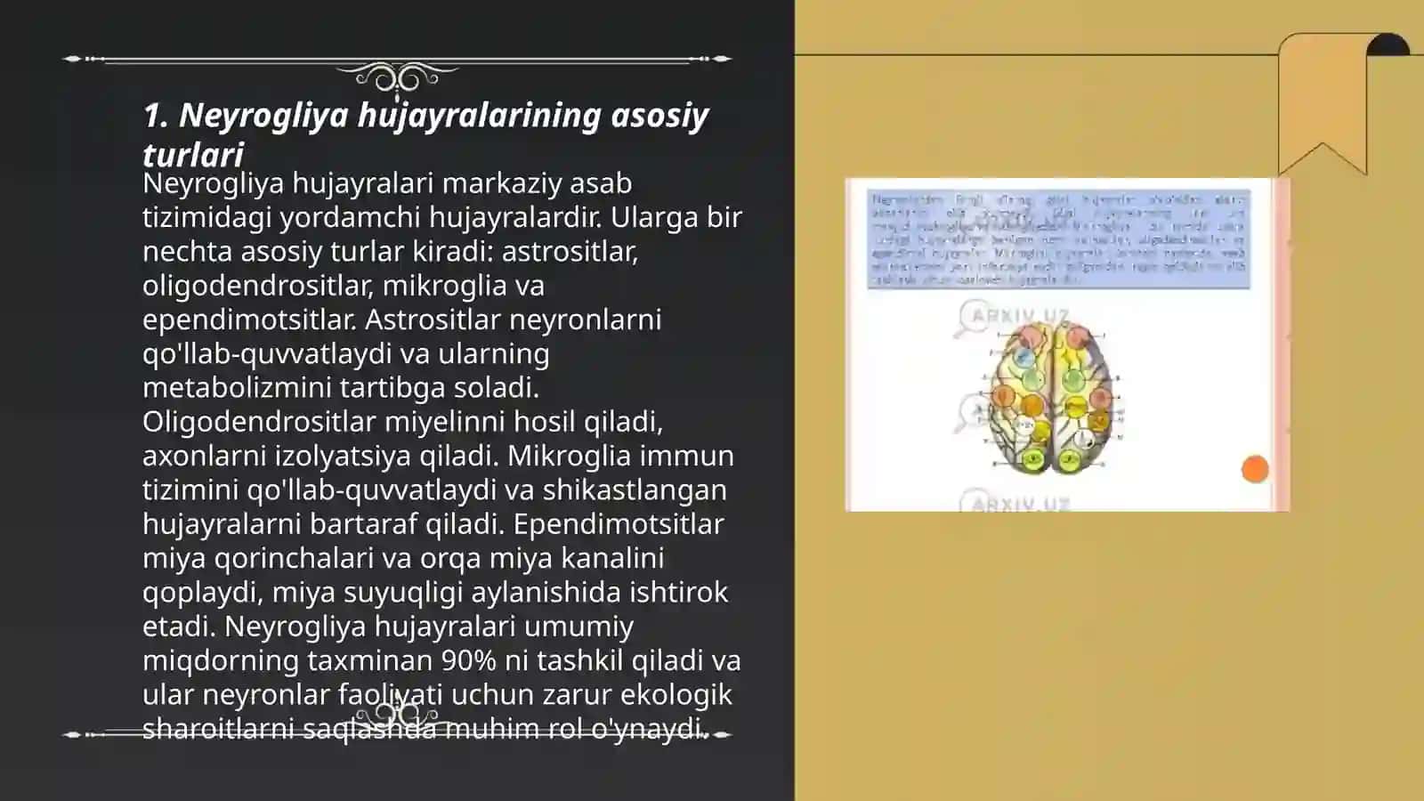 Neyrogliya hujayralarning tuzilishi va funksiyasi 3