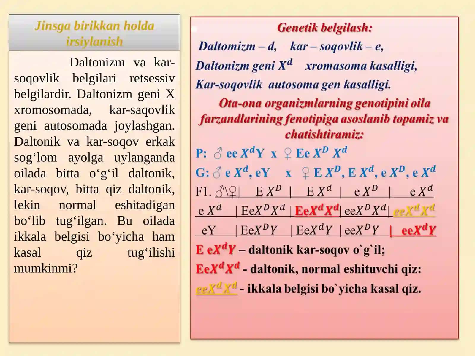 Jinsga birikkan holda irsiylanish 3