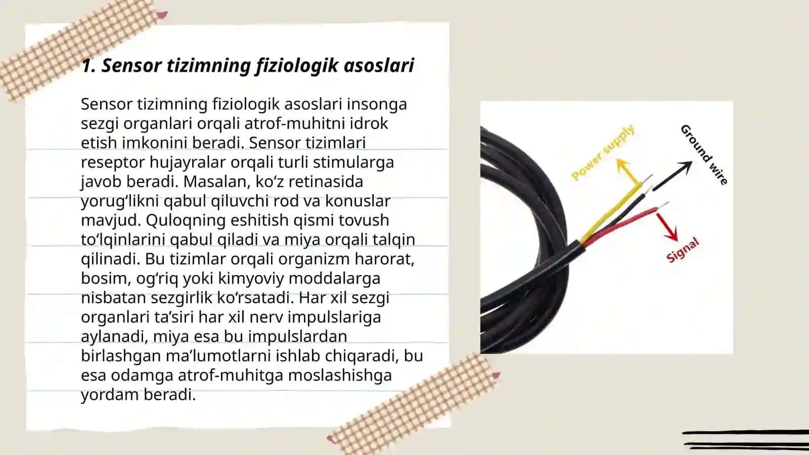 Sensor tizim fiziologiyasi analizatorlar 3