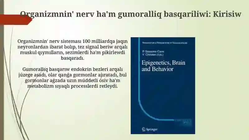 Organizmnin' nerv ha'm gumoralliq basqariliwi 3