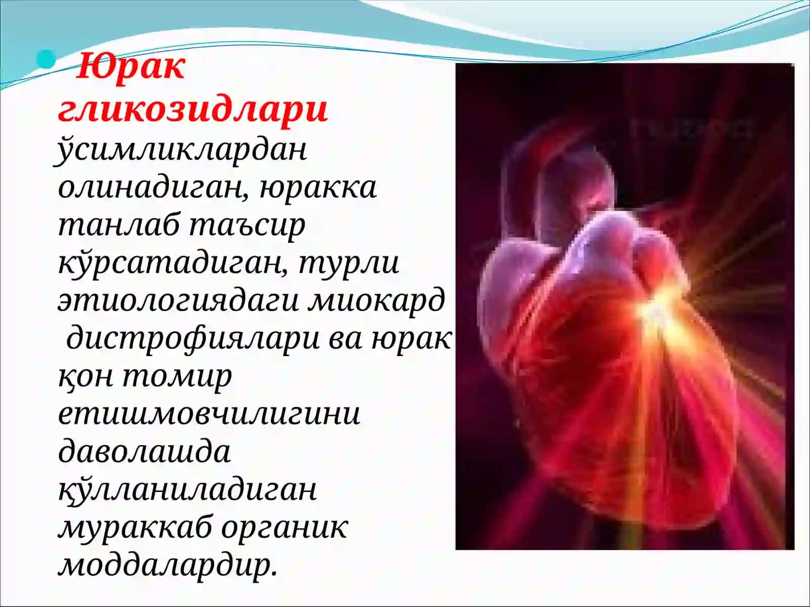 Юракгликозидлари 3
