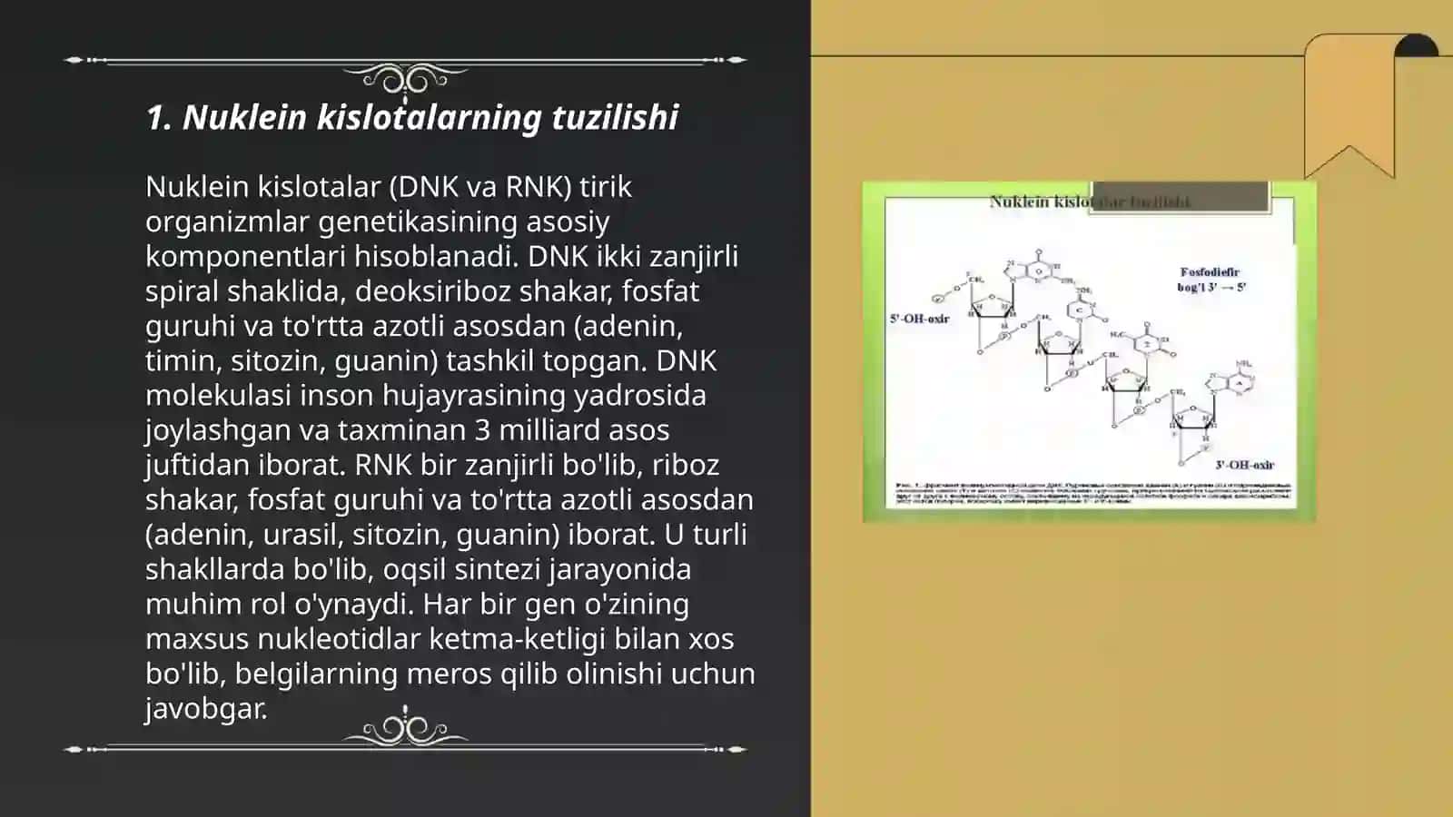 Nuklein kislotalar 3