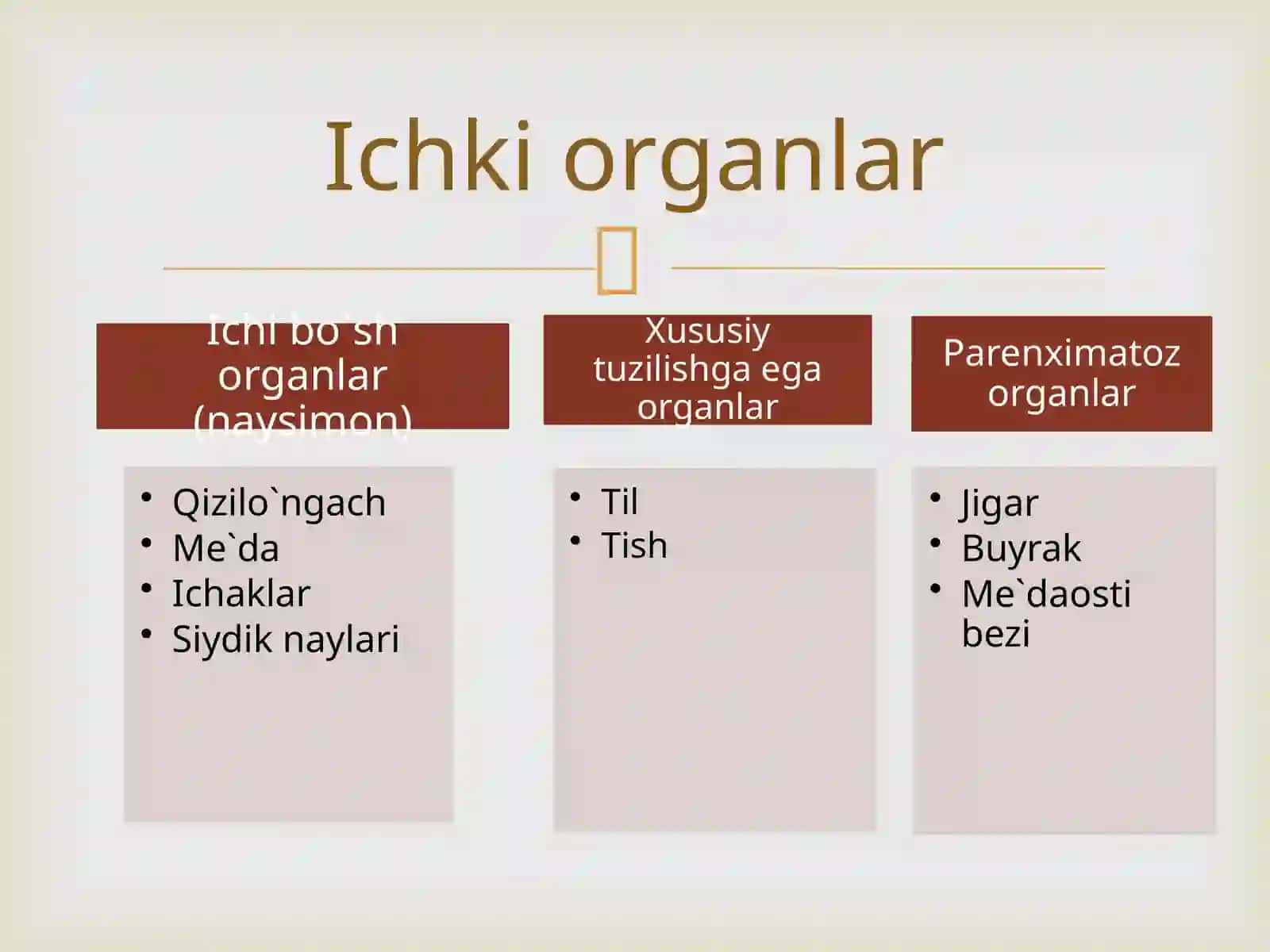 Hazm  sistemasi: og`iz bo`shlig`i a`zolari, so`lak bezlari, halqum 3