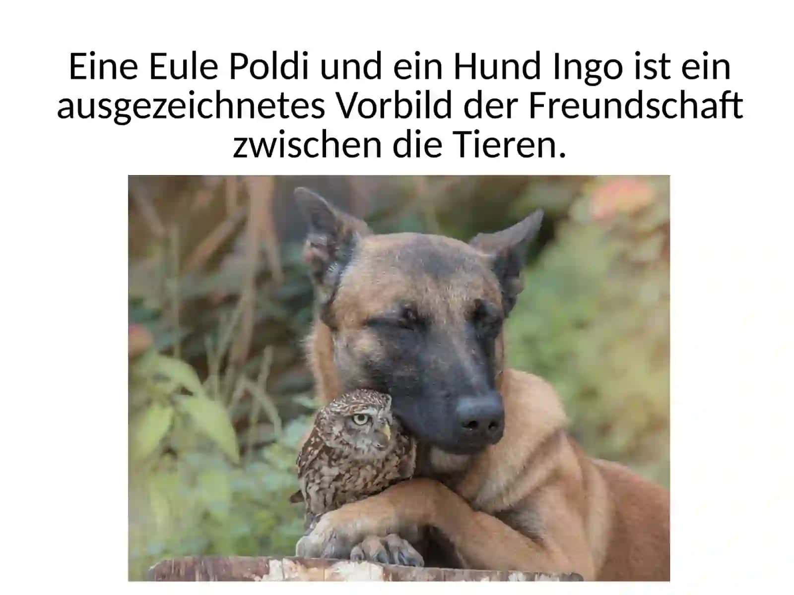 BesteFreunde 3