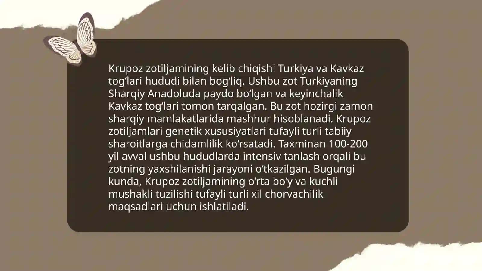 Krupoz zotiljam 3