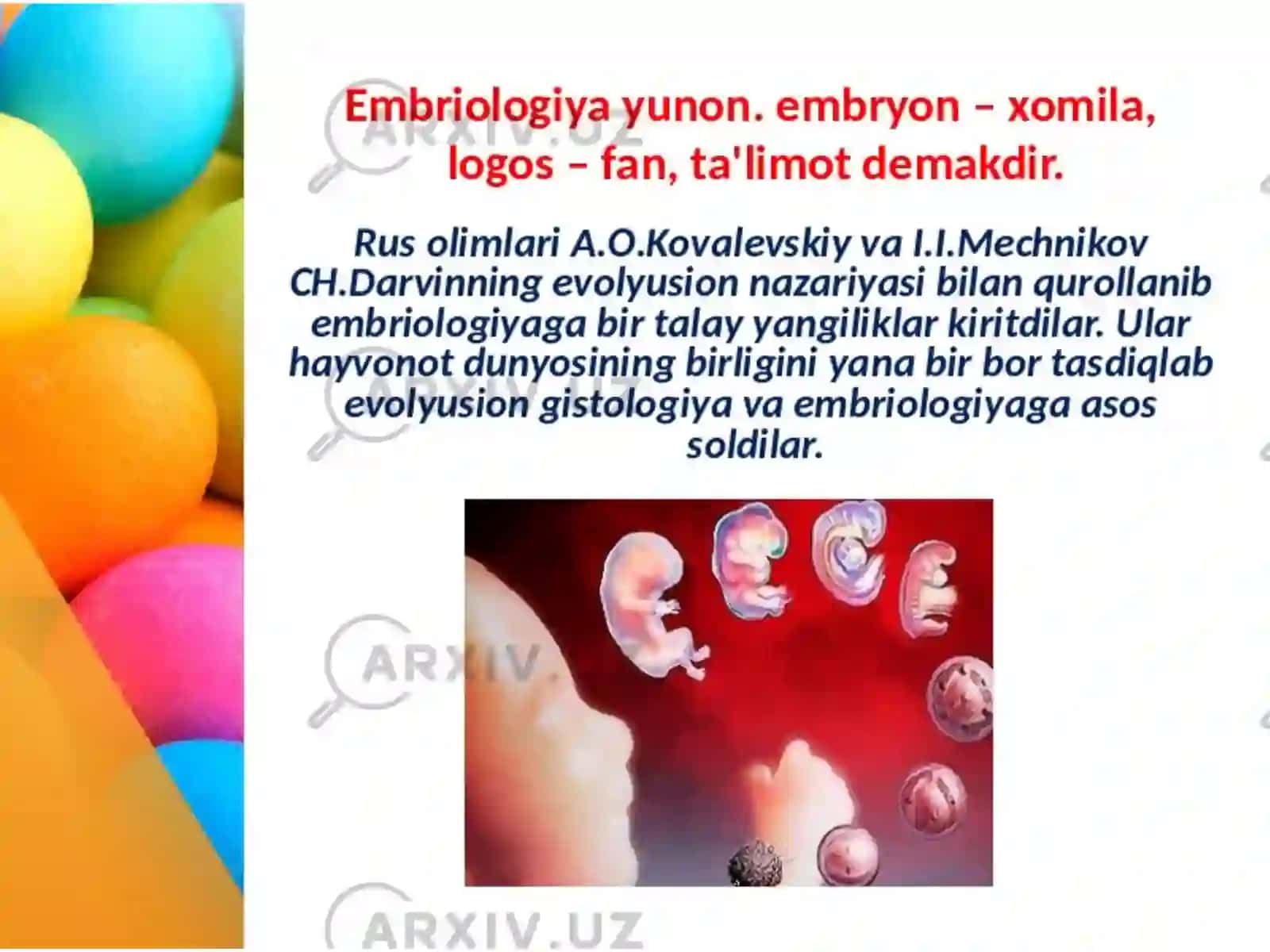 Individual rivojlanishning umumiy qonuniyatlari 3