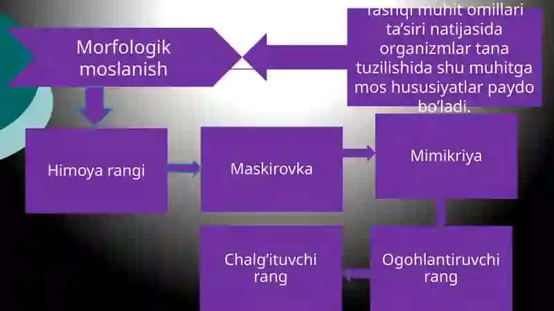Organik olamdagi moslanishlar –evolyutsiya natijasi 3