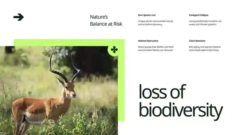 Deforestation: A Threat to Our Future 3