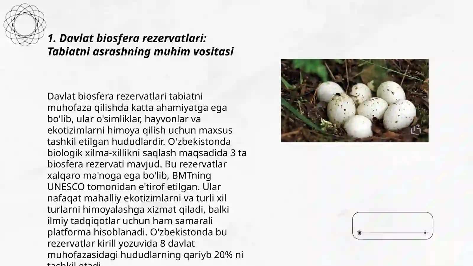 Davlat biosfera rezervandlari, milliy bog'lar, davlatlararo muhofaza etiladigan tabiiy hududlar 3