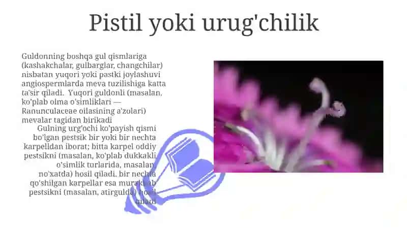 Gulqismlari 3