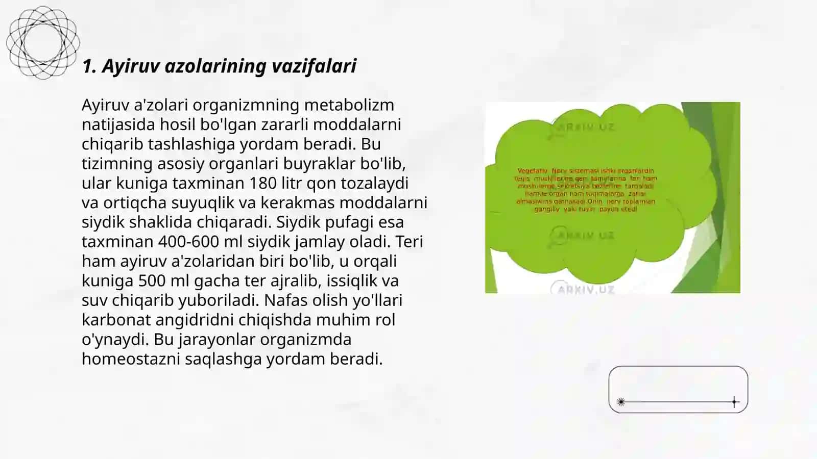Ayiruv azolarining boshqarilishi va sezgi azolarining boshqarilishi 3