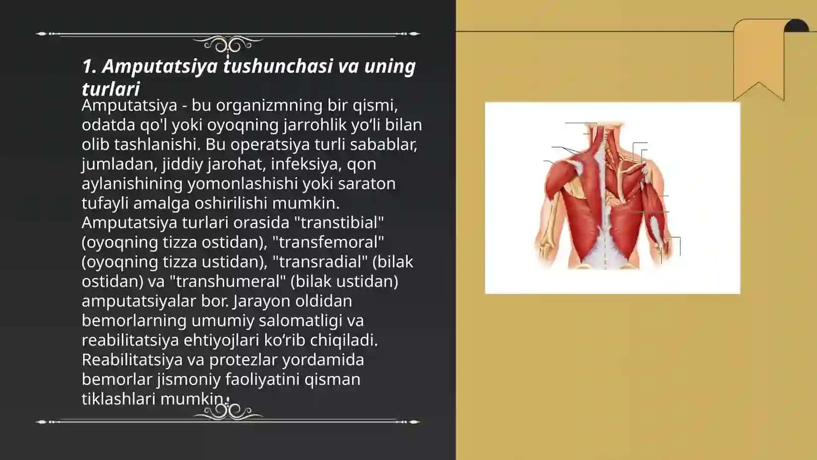 Yelka amputatsiyalari va uning koʻndalang kesmasining topografiyasi 3