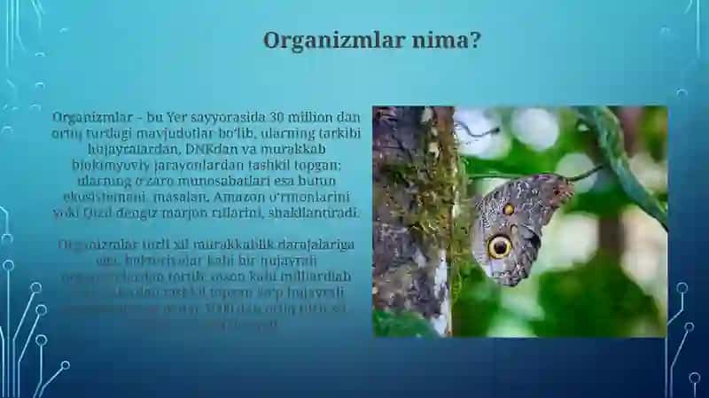 Organizmlar haqida umumiy ma'lumot 3