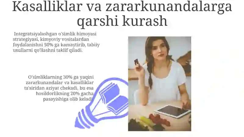 Lolalar tartibi 3