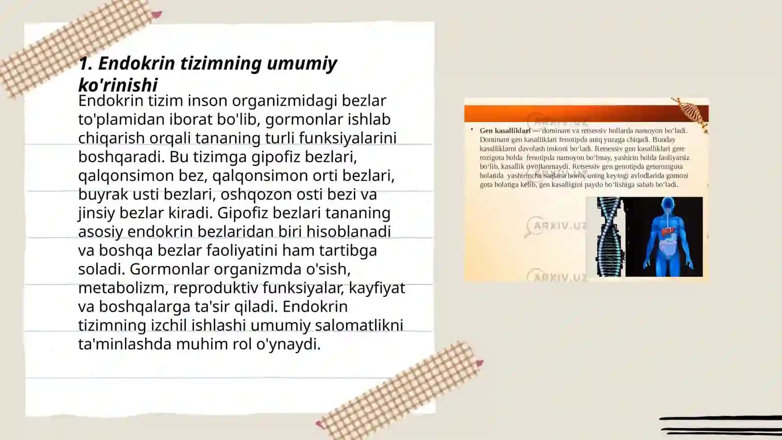 Endokrin tizimning inson organizmi va xulq- atvorining ahmiyati 3