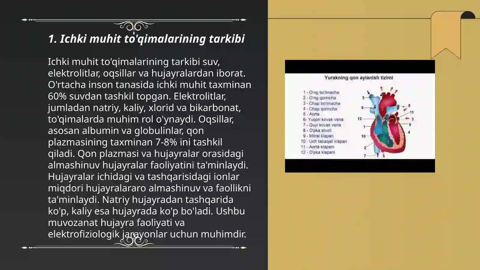 Ichki muhit to'qimalarining tarkibi 3