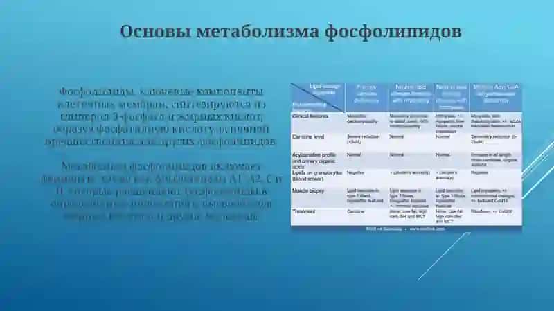 Лечебное дело-2 3