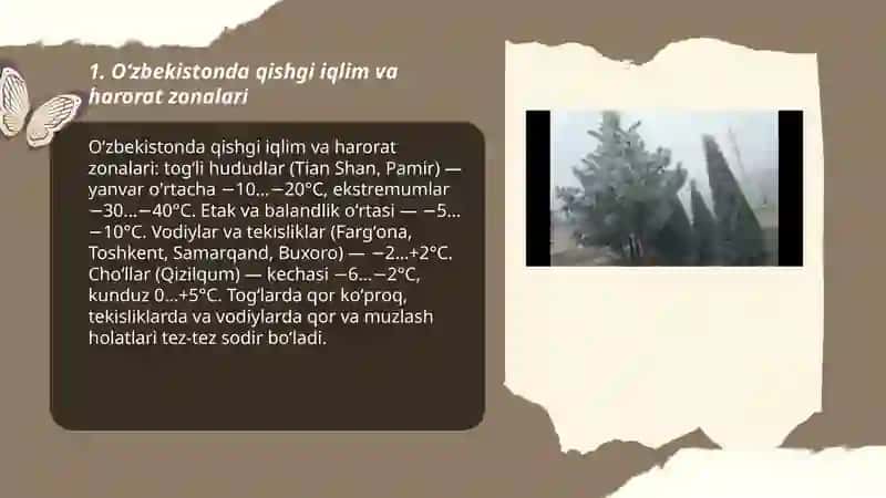 Oʻzbekistonda qish 3