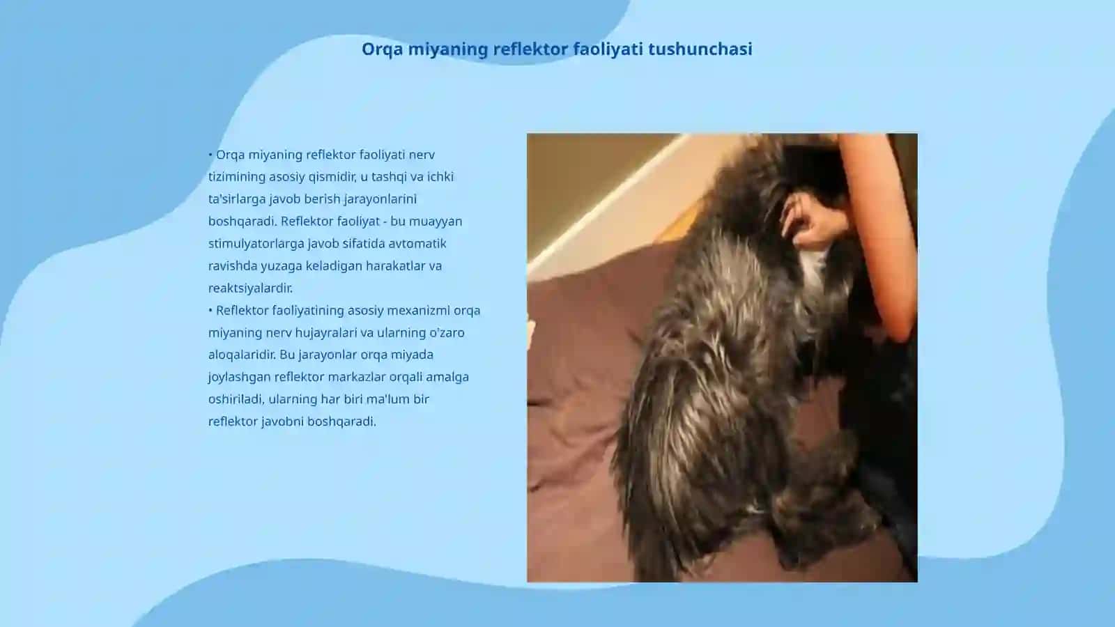 Orqa miyaning reflektor faoliyatini tekshirish Fiziologiya fani 3