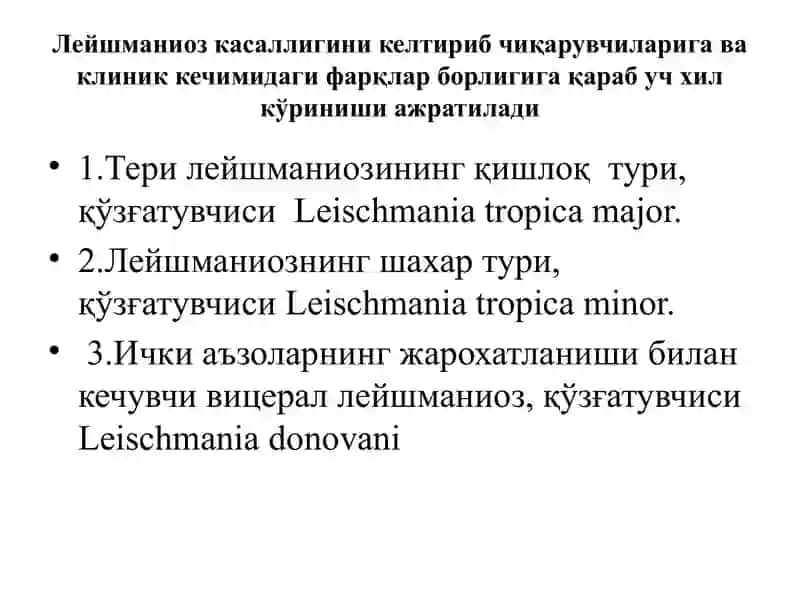 Leishmanioz 3