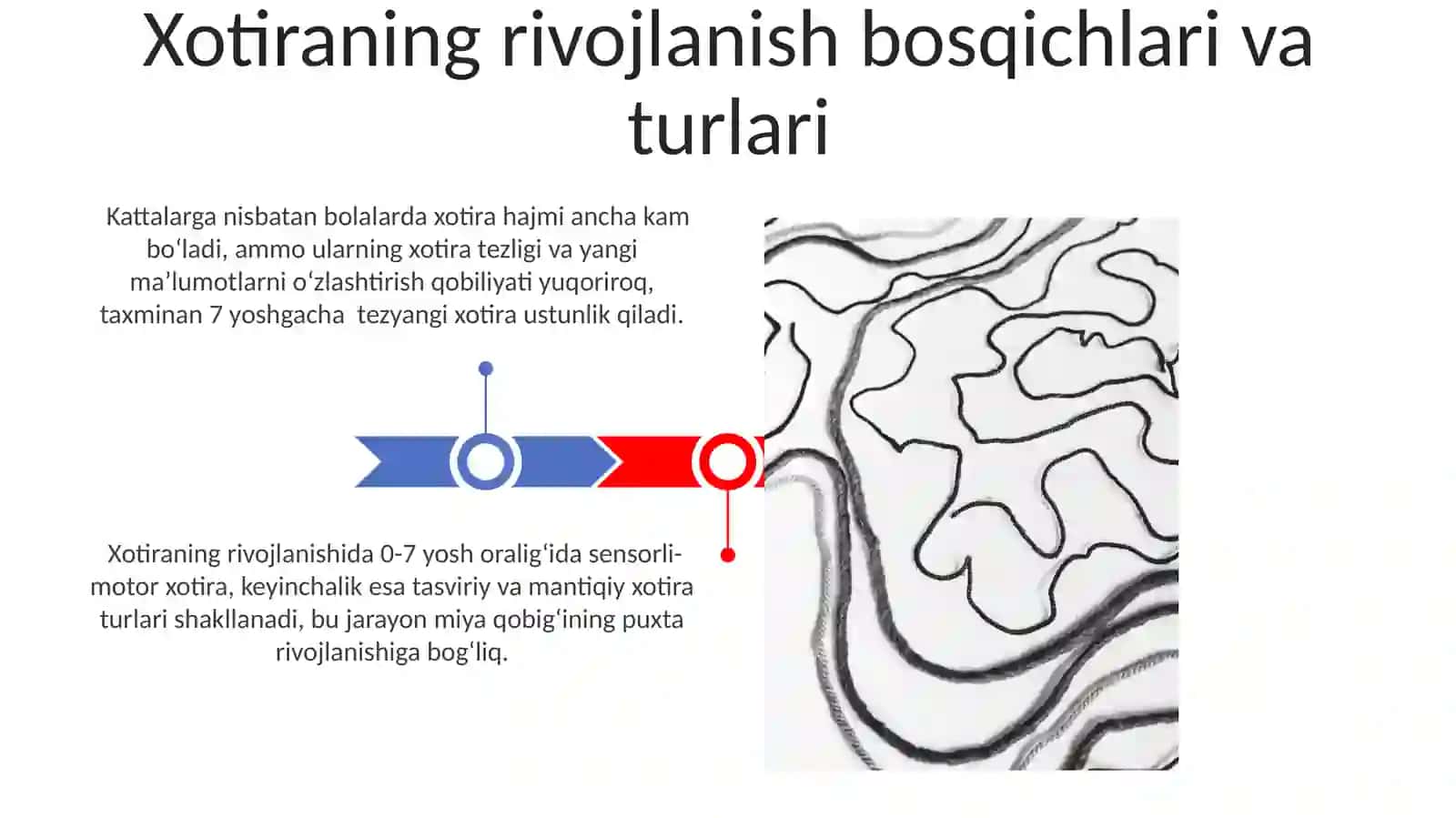 Aqliy harakatlarning bosqichma-bosqich rivojlanishi 3