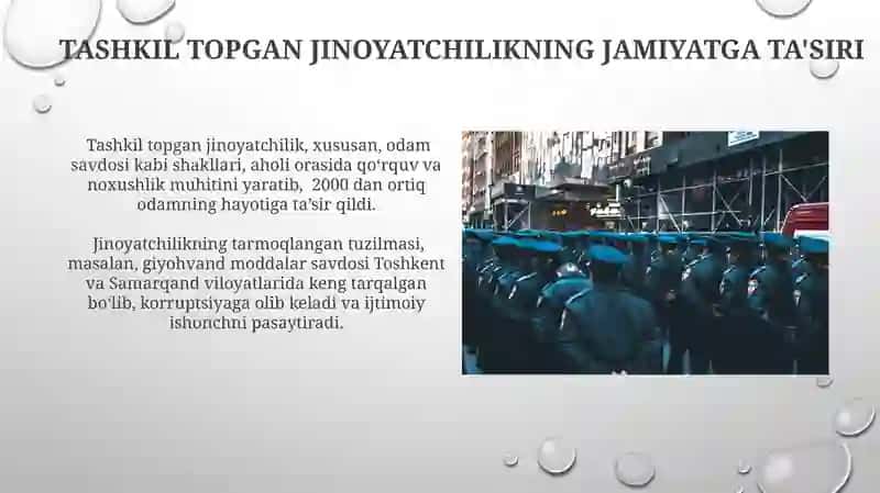 Uyushgan jinoyatchilikning kriminologik tavsifi va ularni oldini olishni tashkil etish 3