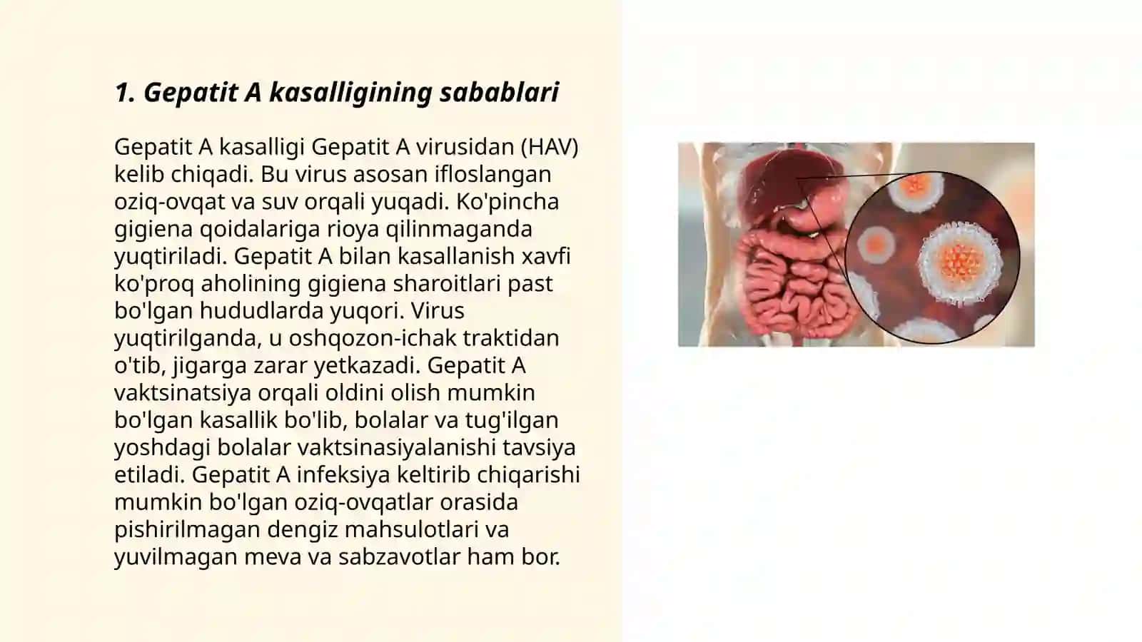 virusli gepatit A 3