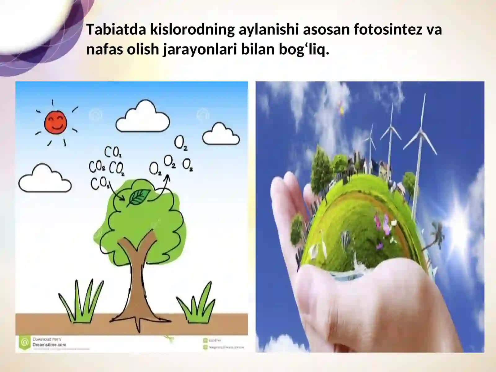 Kislorod gruppachasi elementlari. Oltingugurt 3
