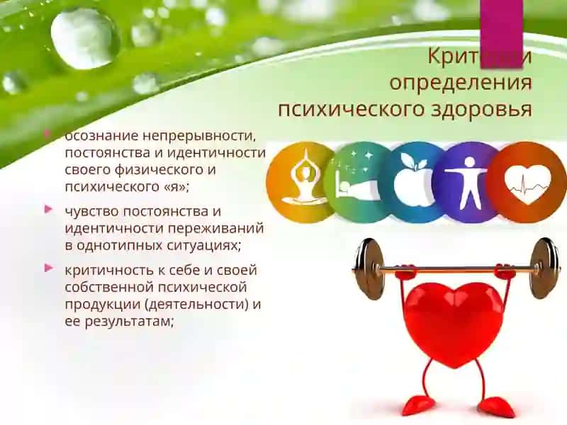 Психическое здоровье человека как один из факторов здорового образа жизни. Режим дня и здаровье человека 3