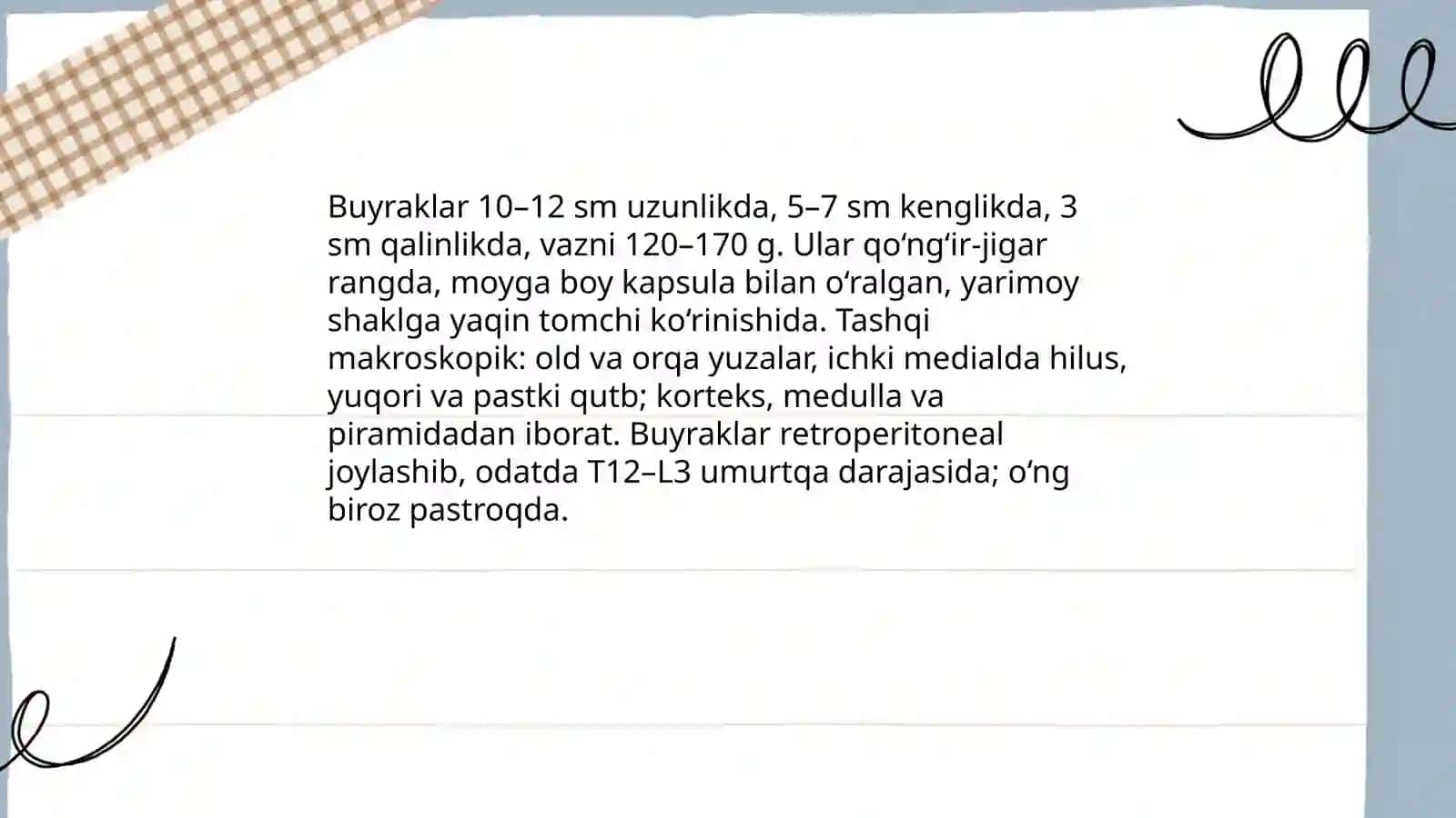 Buyrak siydik yoli va qovuqni tuzilishi joylashuvi va anatomiyasi 3