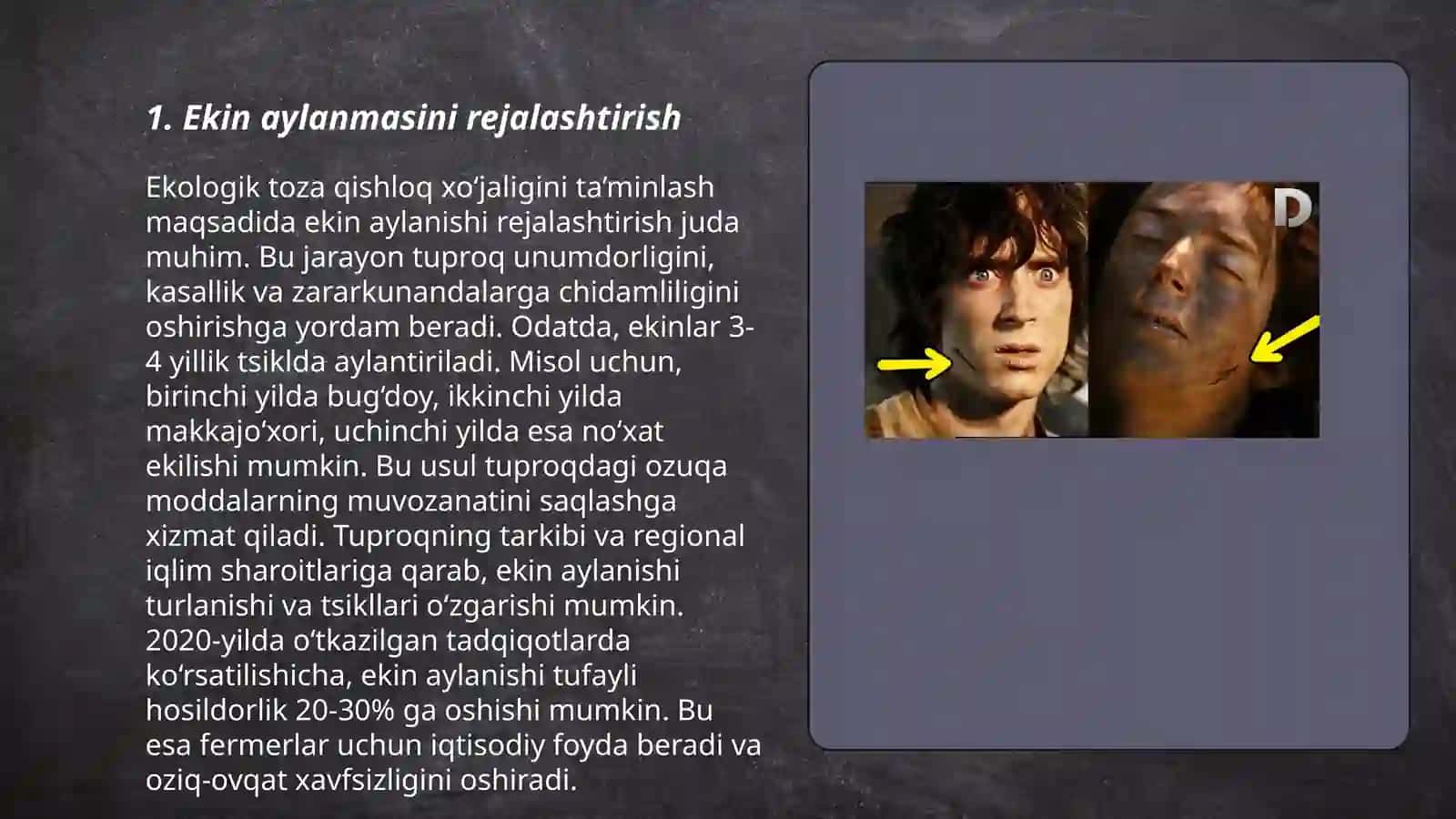 Sug'oriladigan yerlarda jo'xori uchun yaxshi o'tmishdosh ekin turlari 3