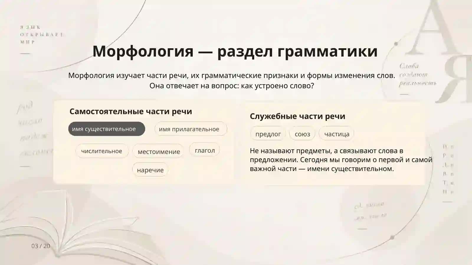 Морфология. Имя существительное 3