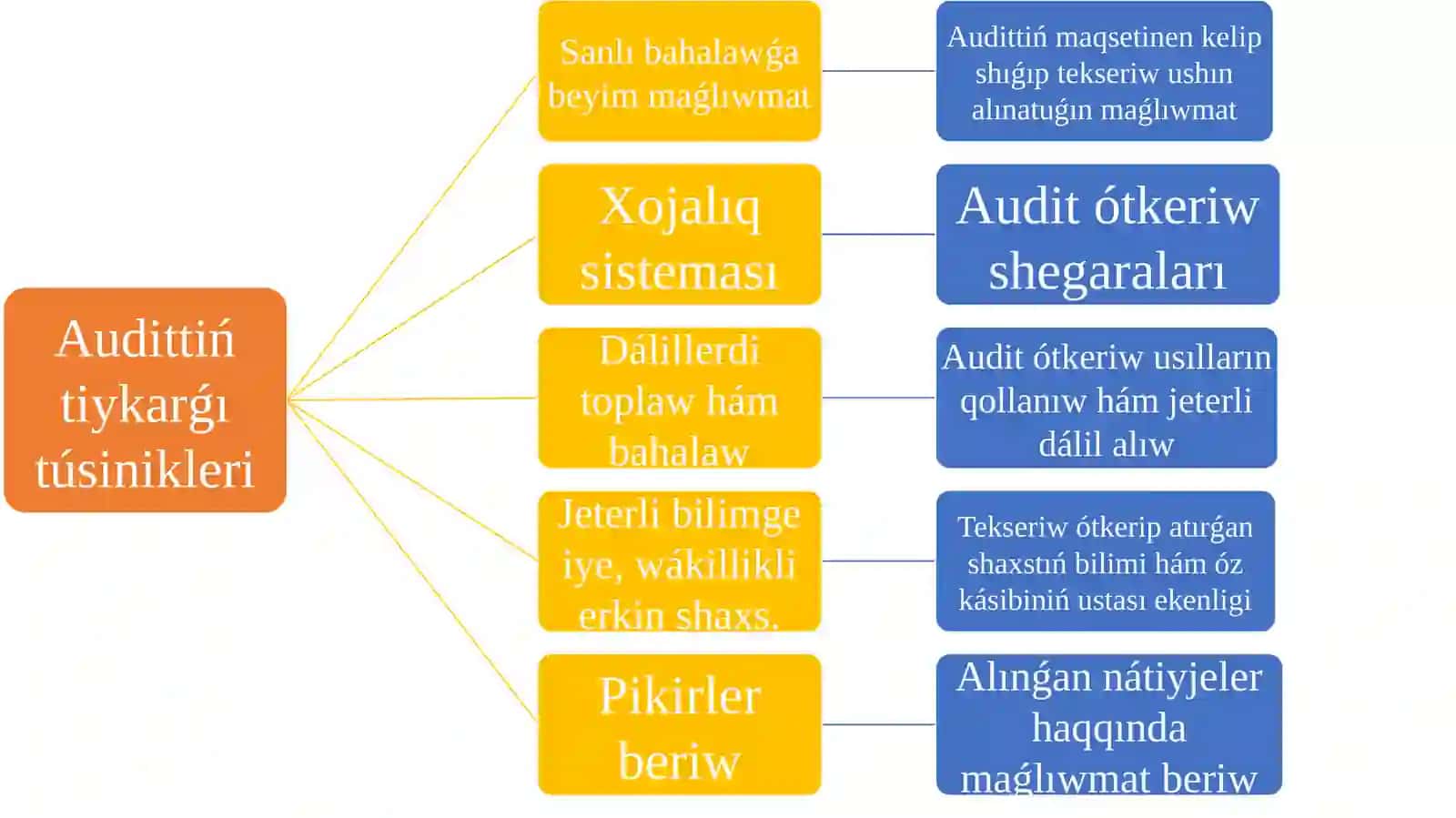 Audittiń xaliqaraliq standartları sisteması hám olardiń klassifikaciyası 3
