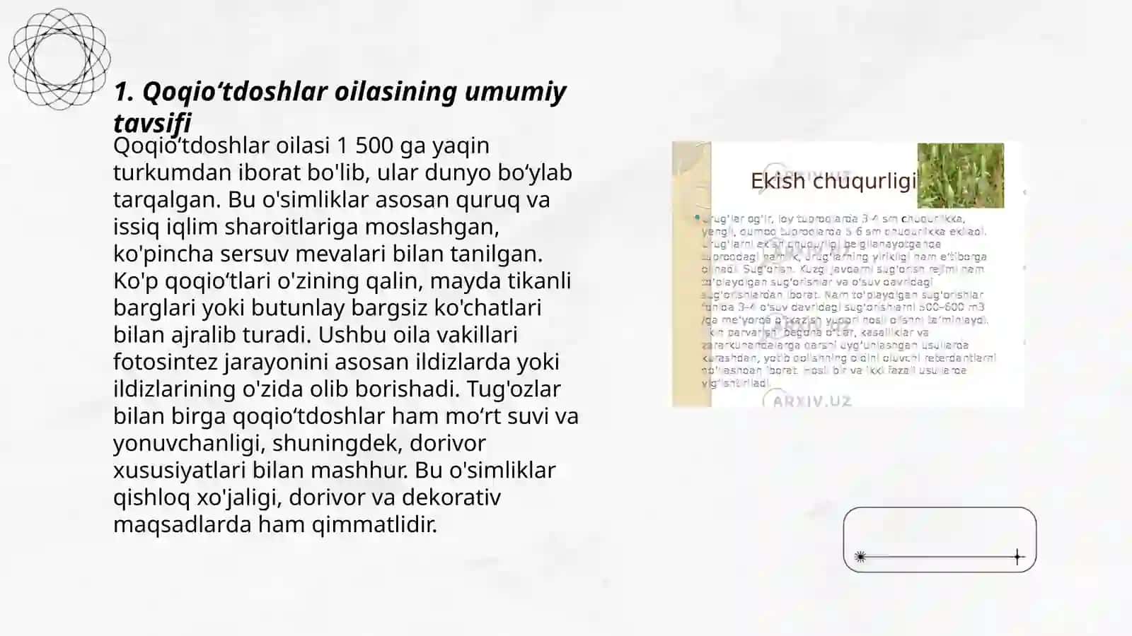 Qoqioʻtdoshlar oilasiga mansub dorivor oʻsimliklar biologiyasi va ekologiyasini oʻrganish 3