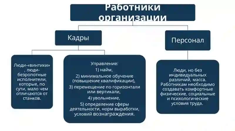Персонал 3